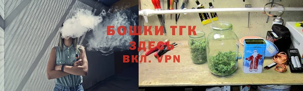 хмурый Пестово