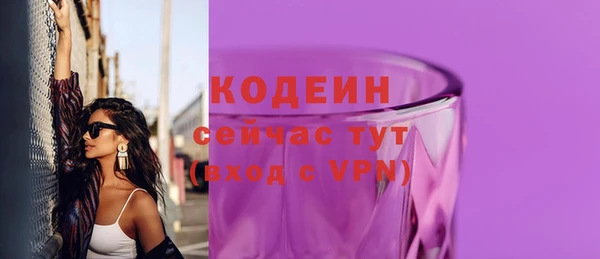 хмурый Пестово
