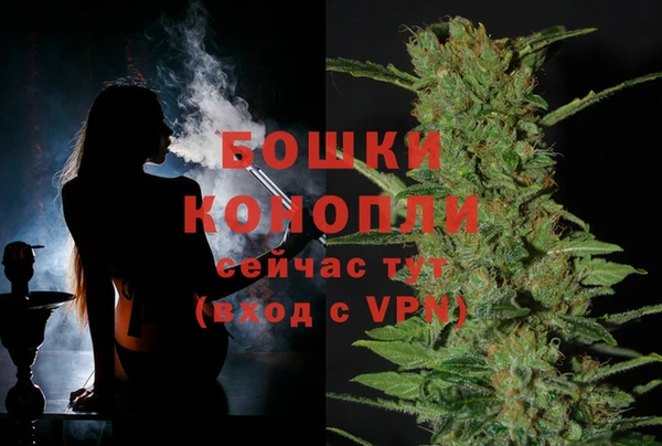 соль курить ск Белокуриха