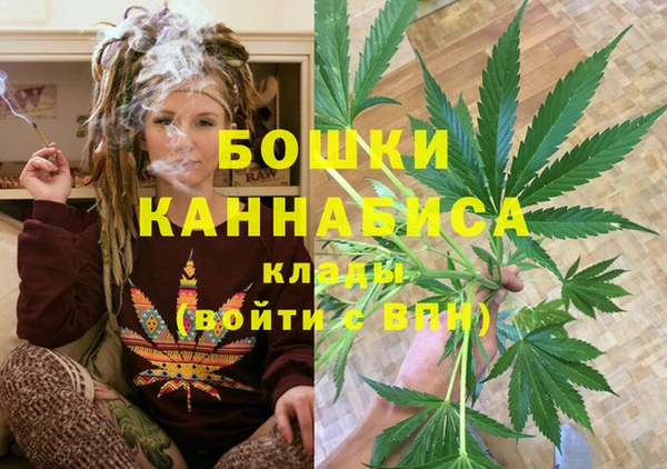хмурый Пестово