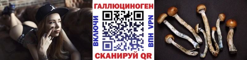 где найти   маркетплейс клад  Псилоцибиновые грибы Magic Shrooms  Липецк 